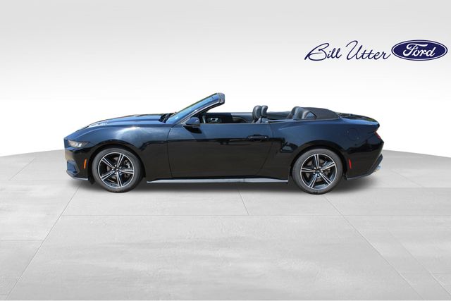 2024 Ford Mustang photo 8