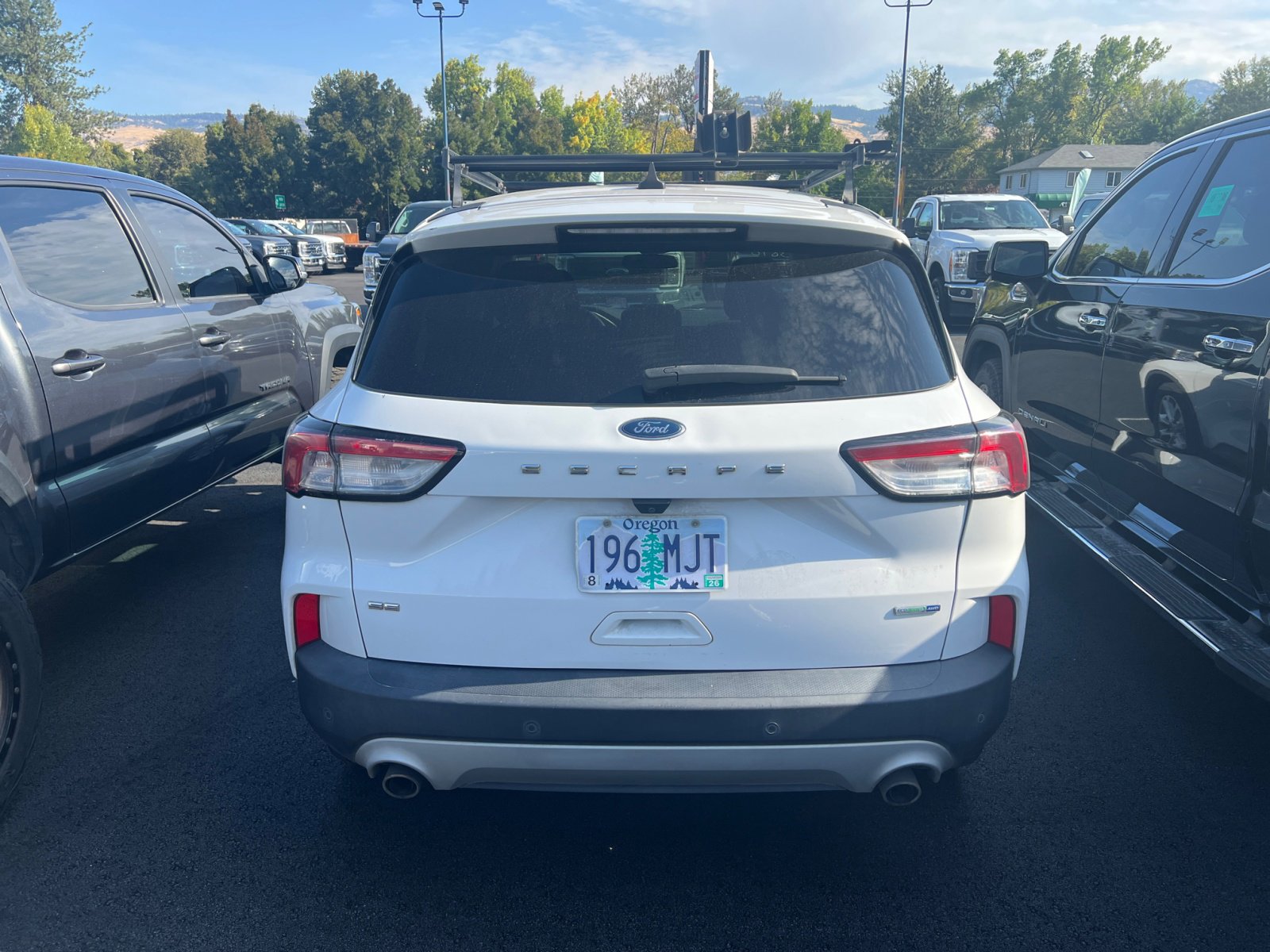 2020 Ford Escape SE photo 4