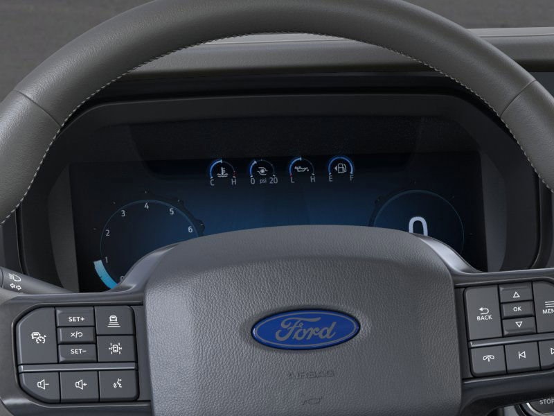 2025 Ford F-150 Platinum photo 11