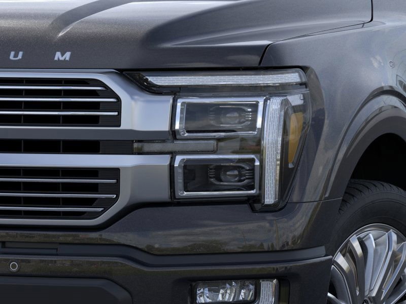 2025 Ford F-150 Platinum photo 15