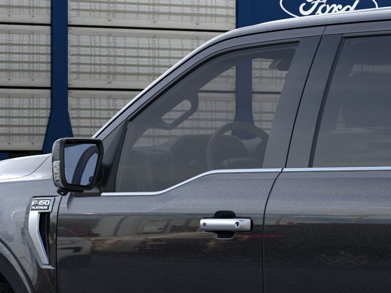 2025 Ford F-150 Platinum photo 17