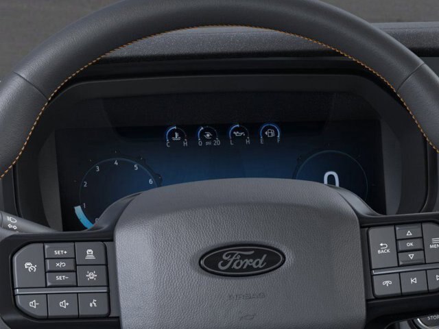 2025 Ford F-150 Tremor photo 13