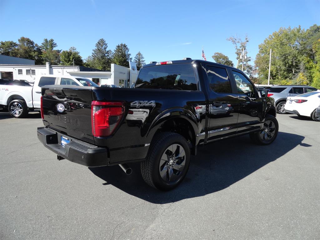 2025 Ford F-150 STX photo 5