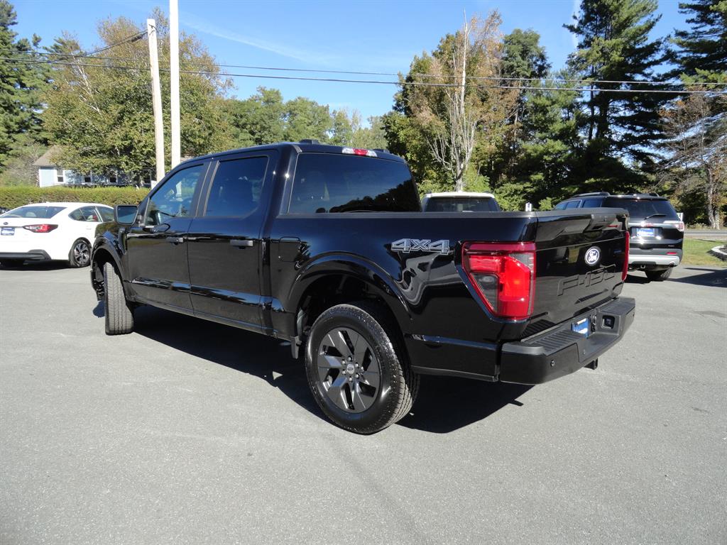 2025 Ford F-150 STX photo 7