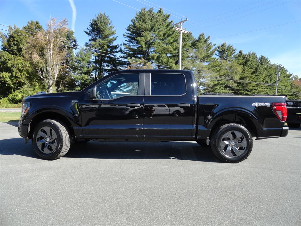 2025 Ford F-150 STX photo 8