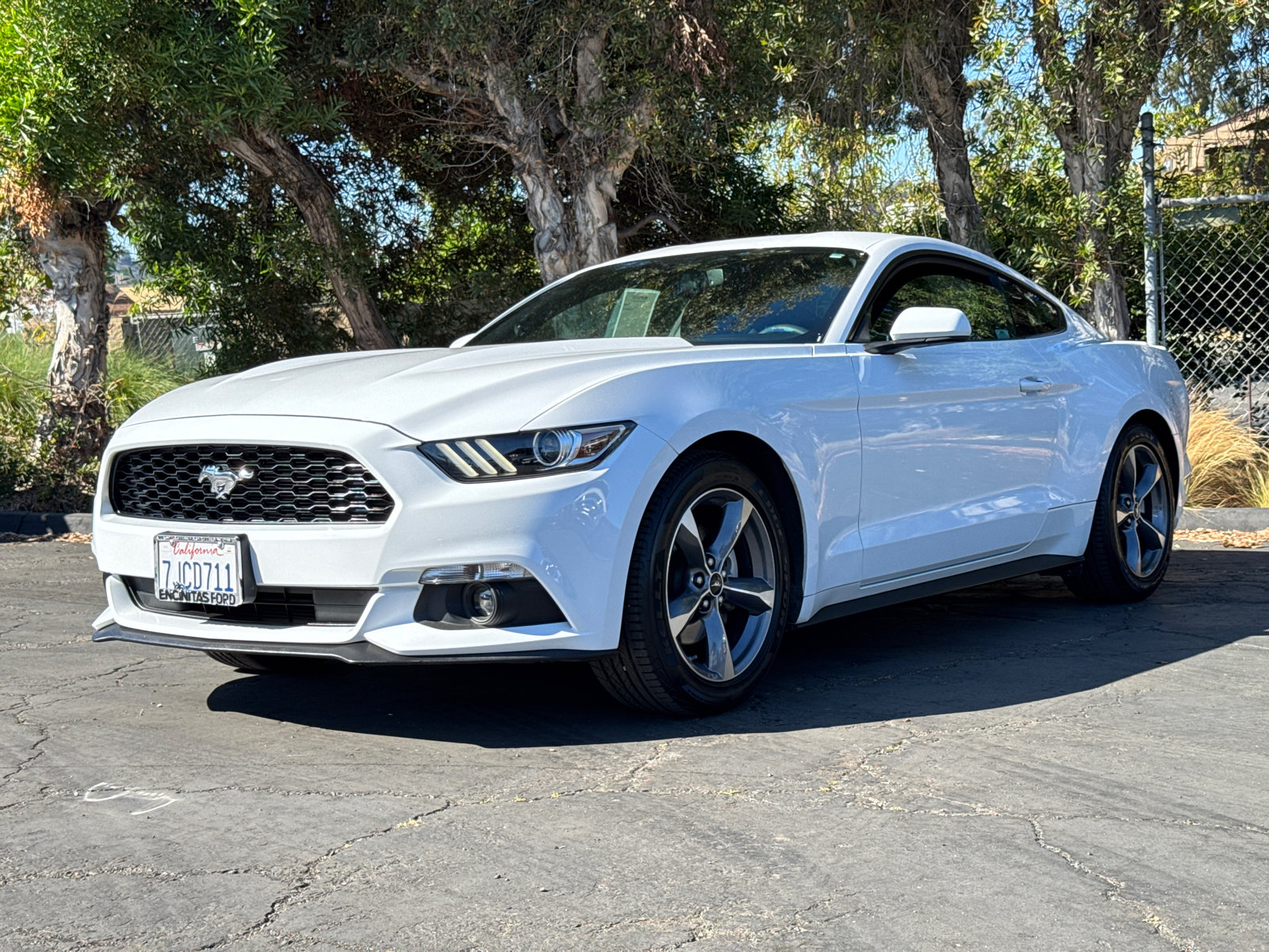 2015 Ford Mustang V6 photo 4