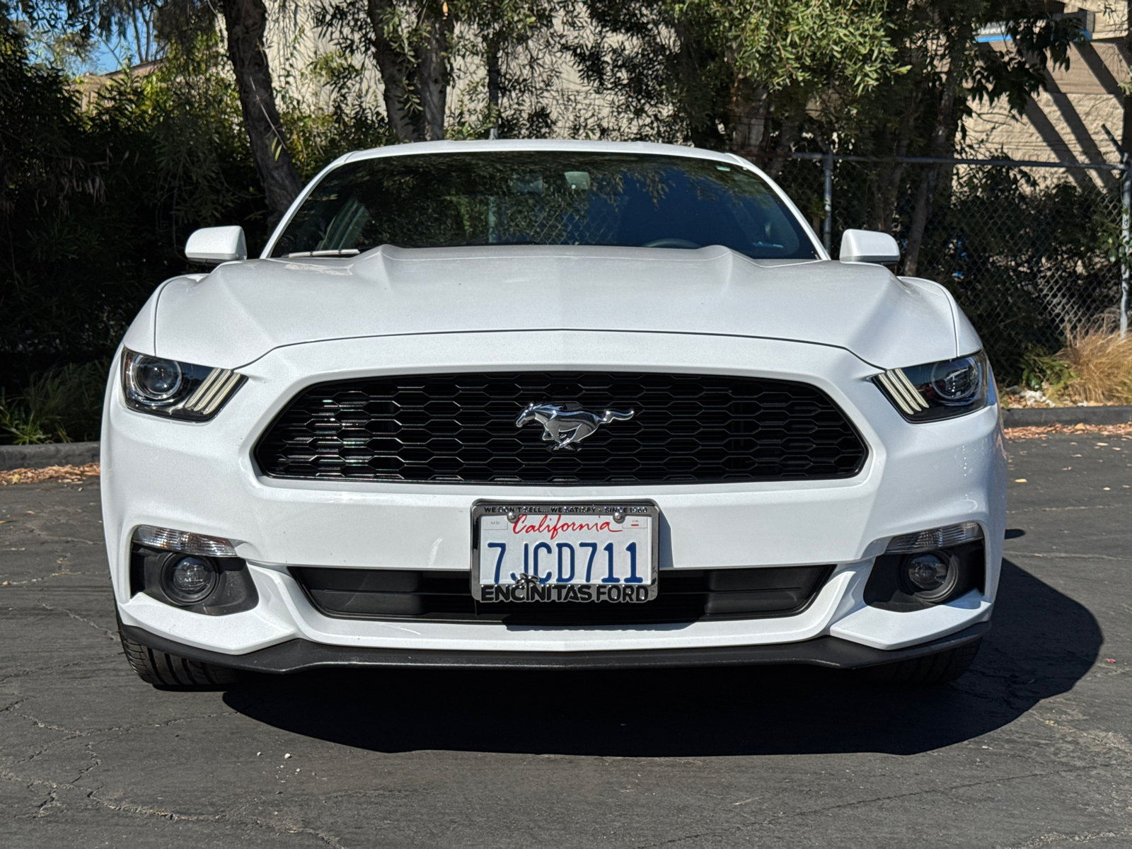 2015 Ford Mustang V6 photo 5