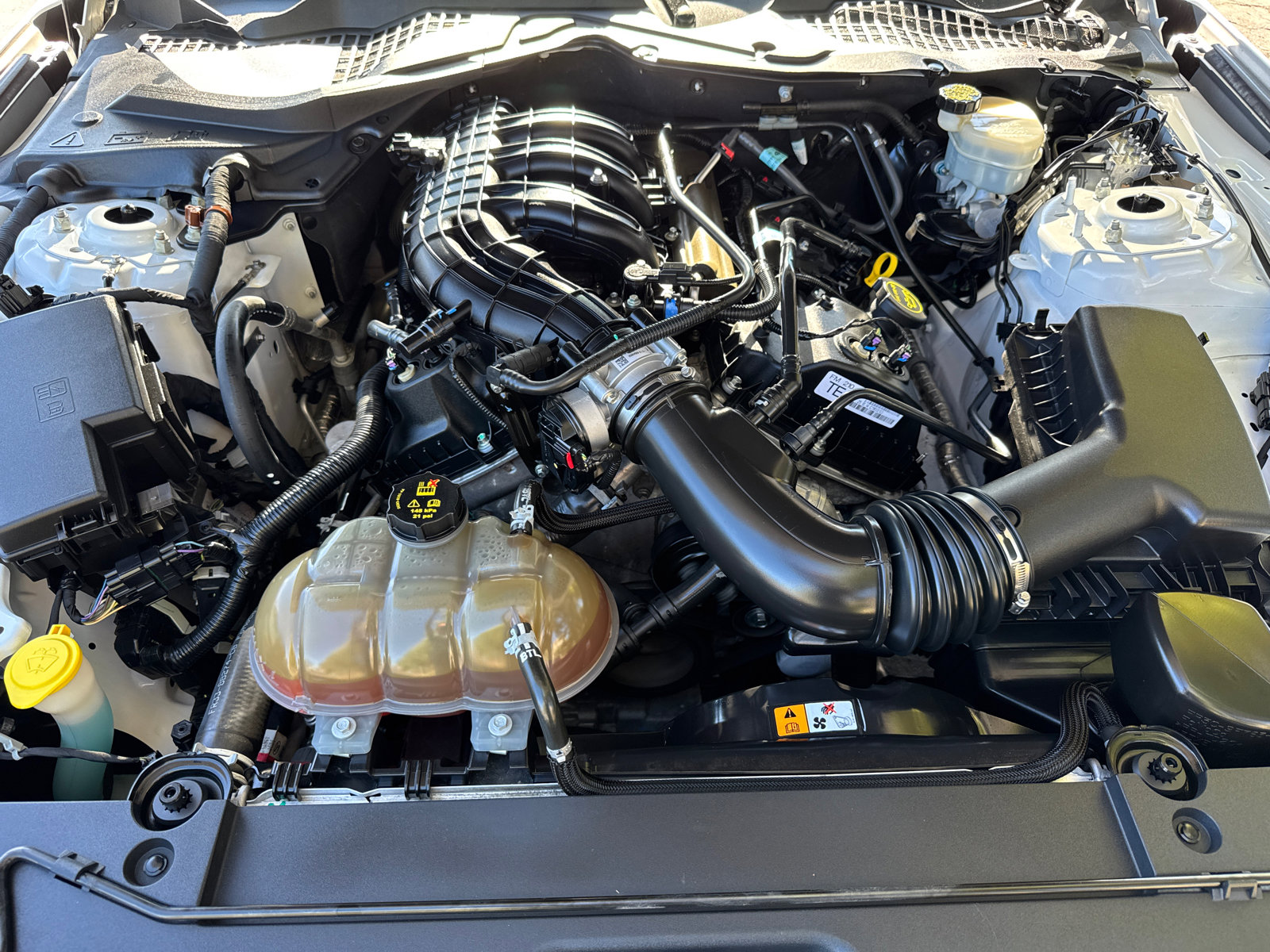 2015 Ford Mustang V6 photo 8