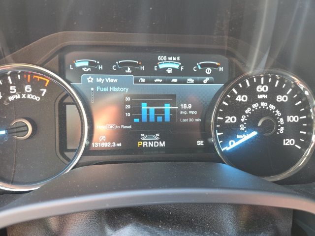 2019 Ford F-150 Platinum photo 2