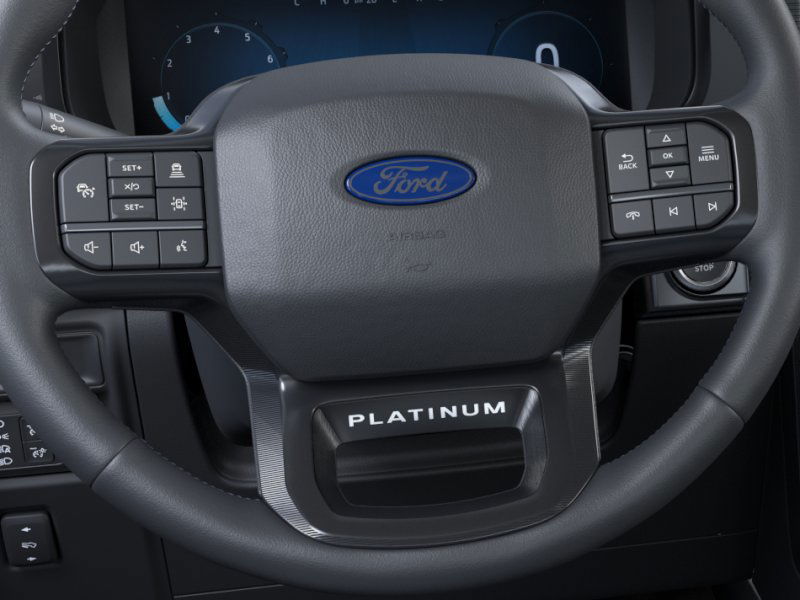 2025 Ford F-150 Platinum photo 10