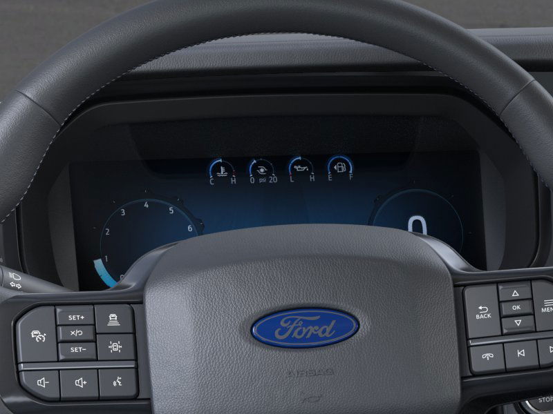 2025 Ford F-150 Platinum photo 11