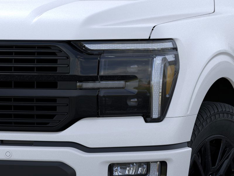 2025 Ford F-150 Platinum photo 16