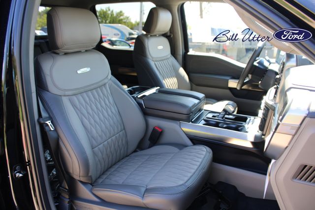 2025 Ford F-150 Platinum photo 8