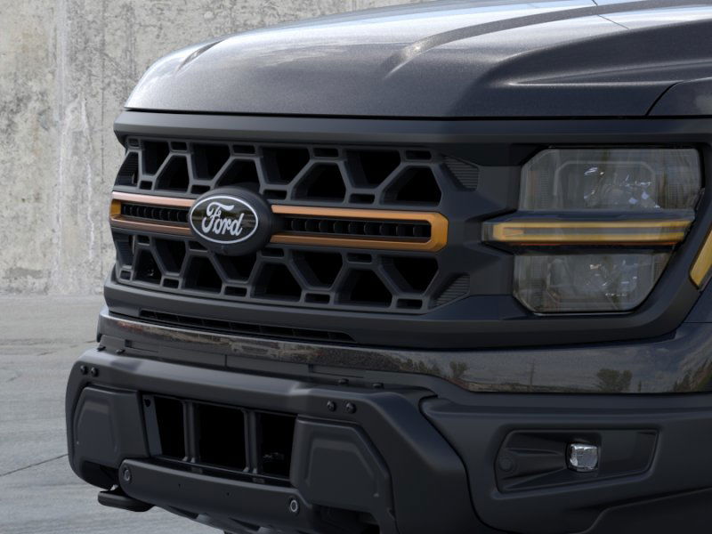 2025 Ford F-150 Tremor photo 16