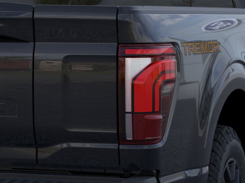 2025 Ford F-150 Tremor photo 20