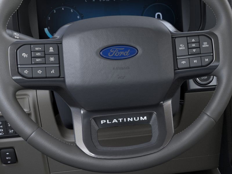 2025 Ford F-150 Platinum photo 11