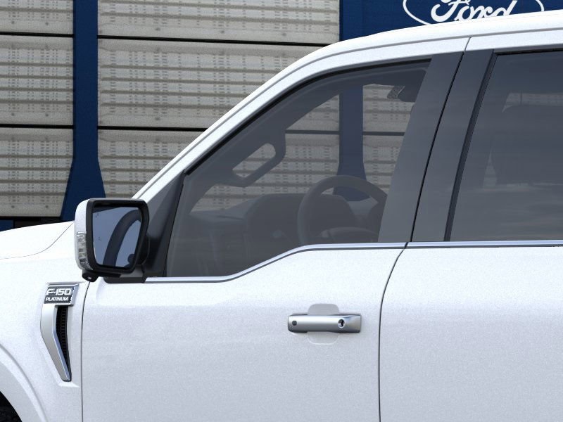2025 Ford F-150 Platinum photo 18