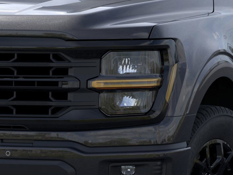 2025 Ford F-150 XLT photo 13
