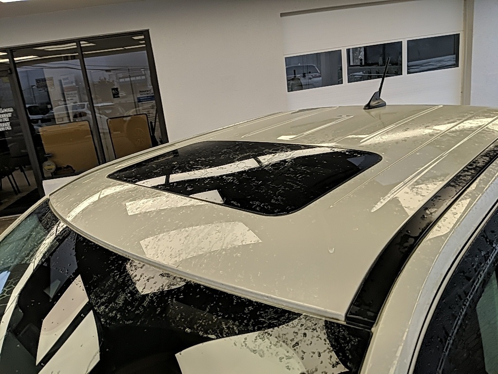 Showcase Image