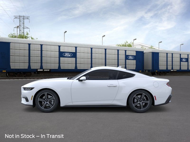 2025 Ford Mustang EcoBoost Premium photo 3