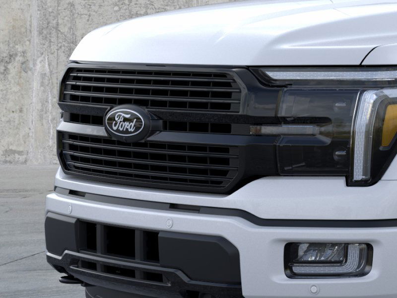 2025 Ford F-150 Platinum photo 17