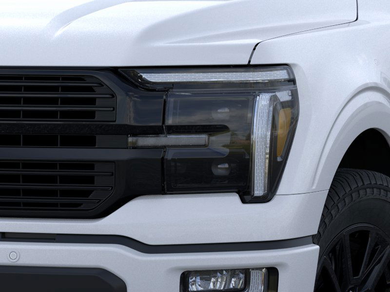 2025 Ford F-150 Platinum photo 18