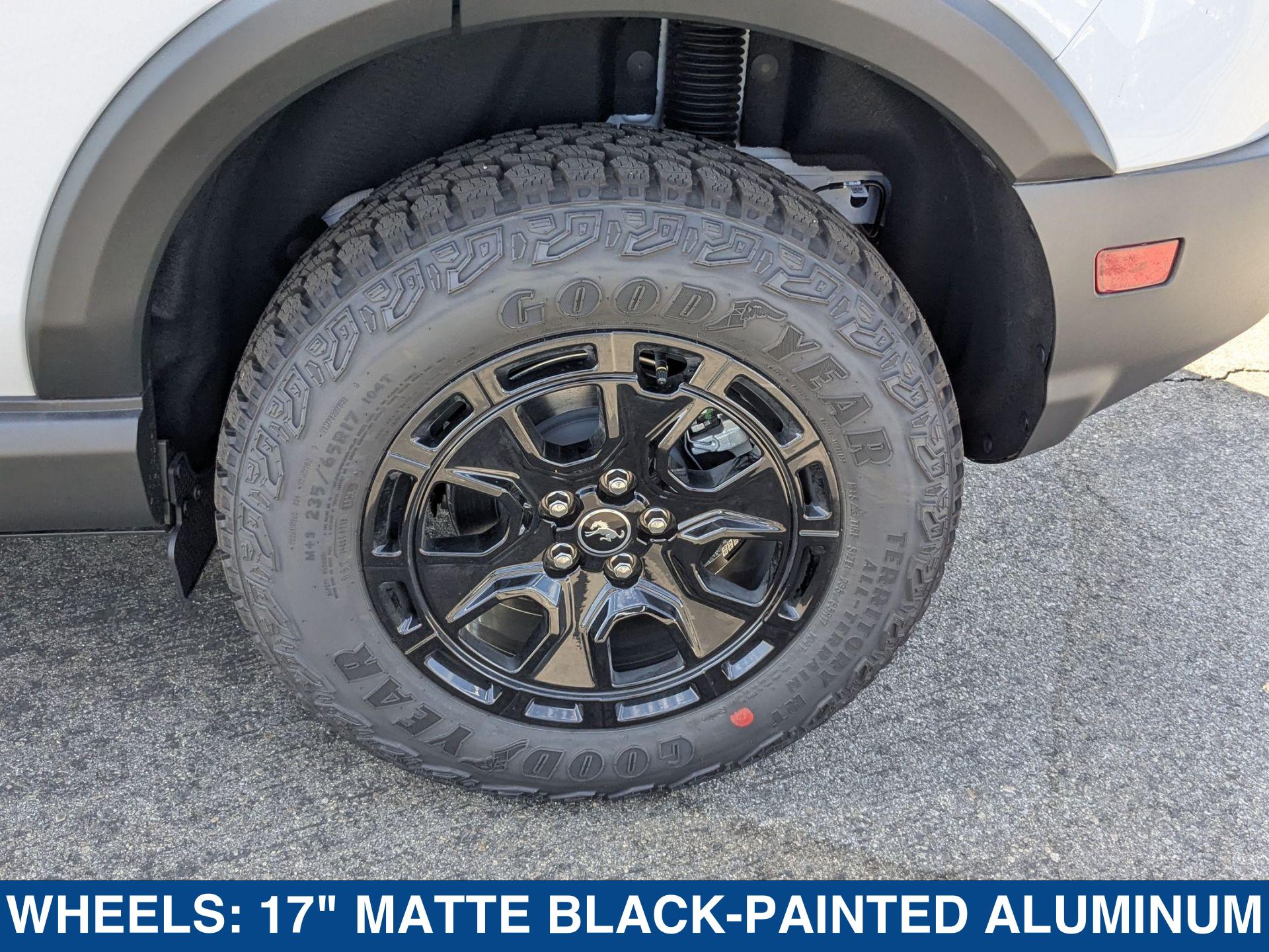 2025 Ford Bronco Sport Badlands photo 12
