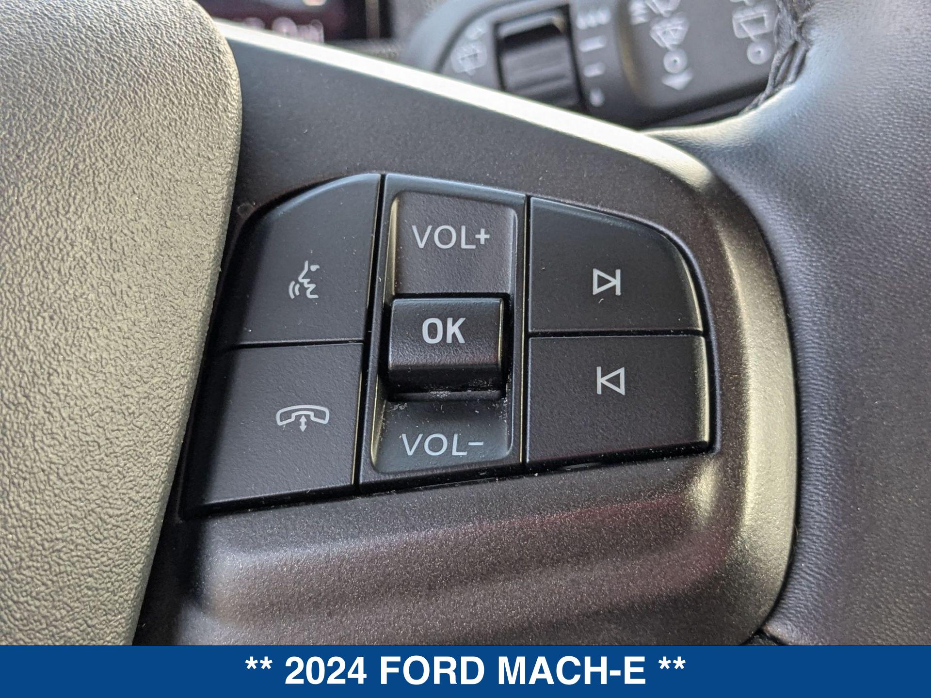 2024 Ford Mustang Mach-E Premium photo 14
