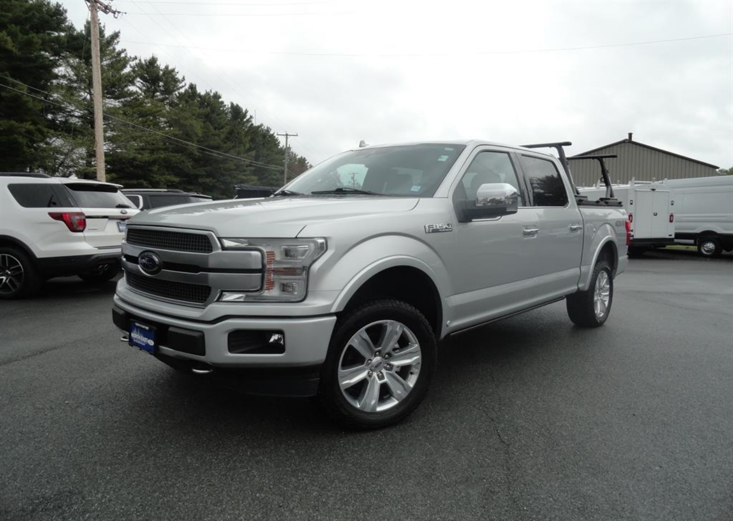 2019 Ford F-150 Platinum's photo