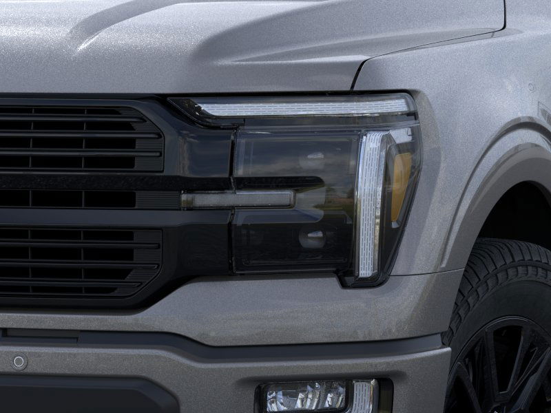 2025 Ford F-150 Platinum photo 18