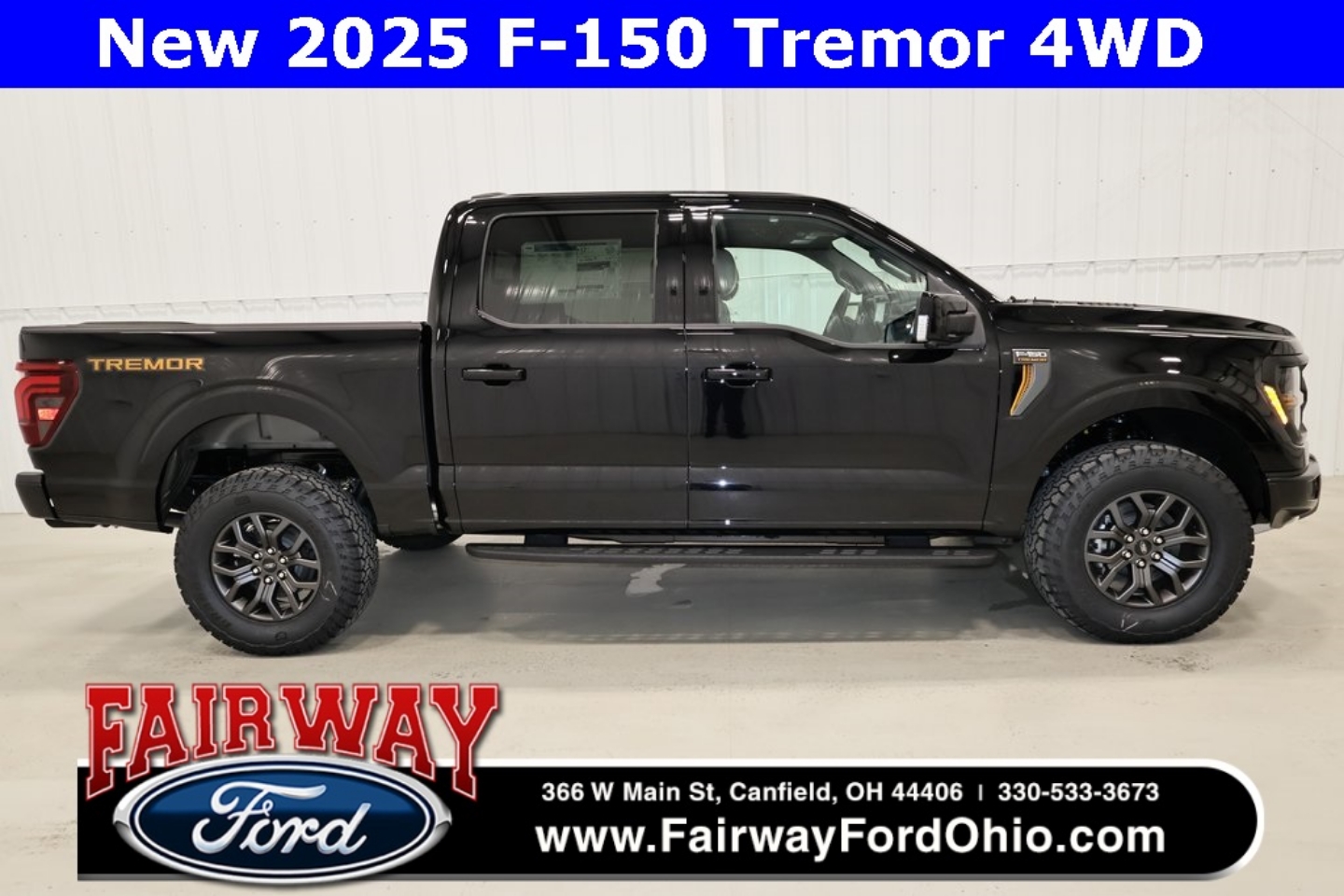 2025 Ford F-150 Tremor's photo