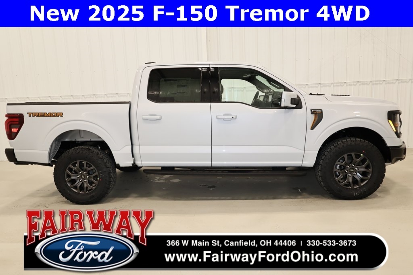 2025 Ford F-150 Tremor's photo
