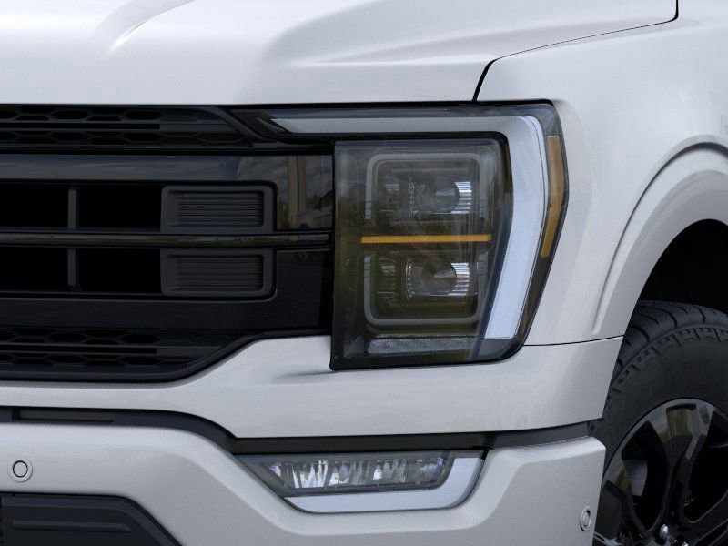 2023 Ford F-150 Platinum photo 18