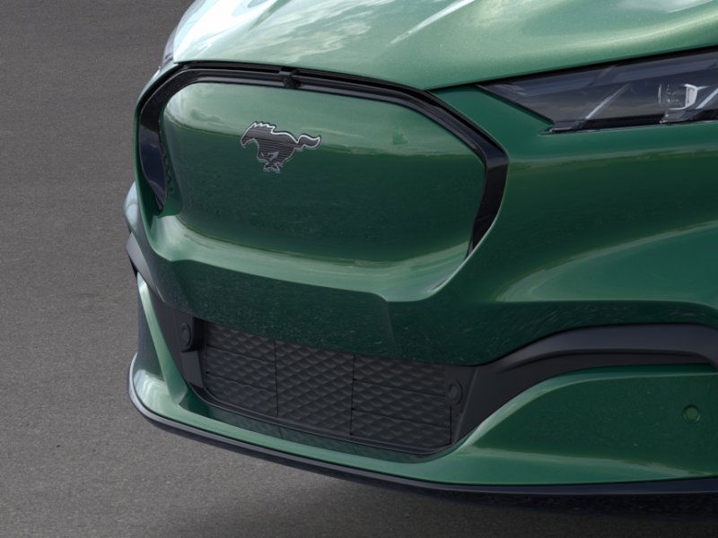 2025 Ford Mustang Mach-E Premium photo 16