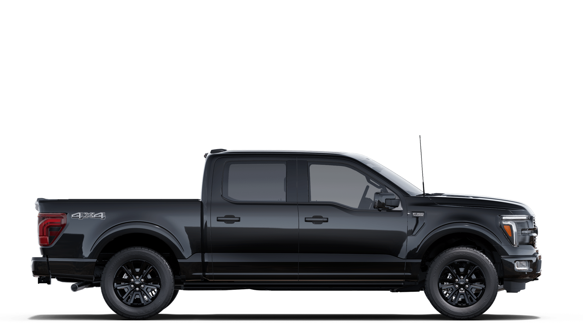 2025 Ford F-150 Platinum photo 5
