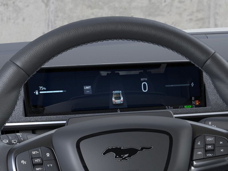 2025 Ford Mustang Mach-E GT photo 12