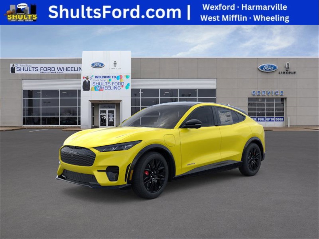 Showcase Image