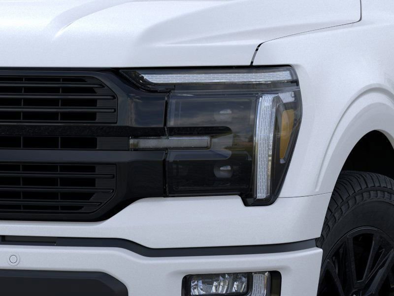 2025 Ford F-150 Platinum photo 17