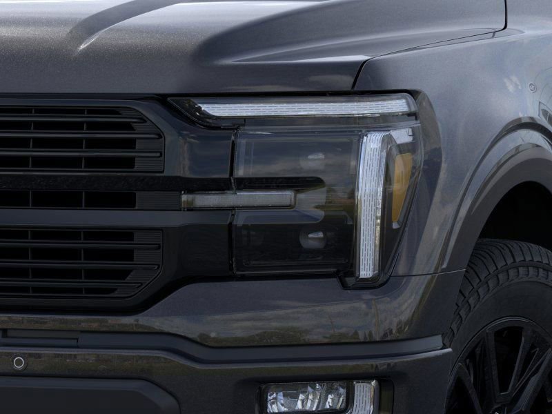 2025 Ford F-150 Platinum photo 18