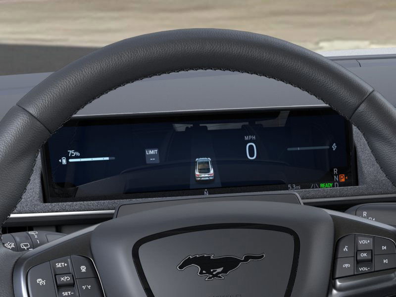 2025 Ford Mustang Mach-E Premium photo 10