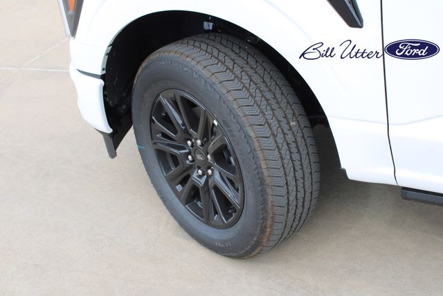 2025 Ford F-150 Platinum photo 5