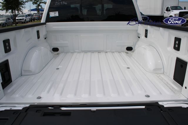 2025 Ford F-150 Platinum photo 6
