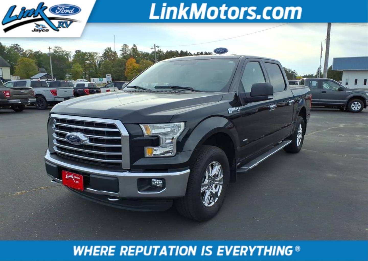 2015 Ford F-150 XLT's photo