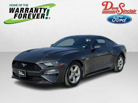 2019 Ford Mustang EcoBoost®