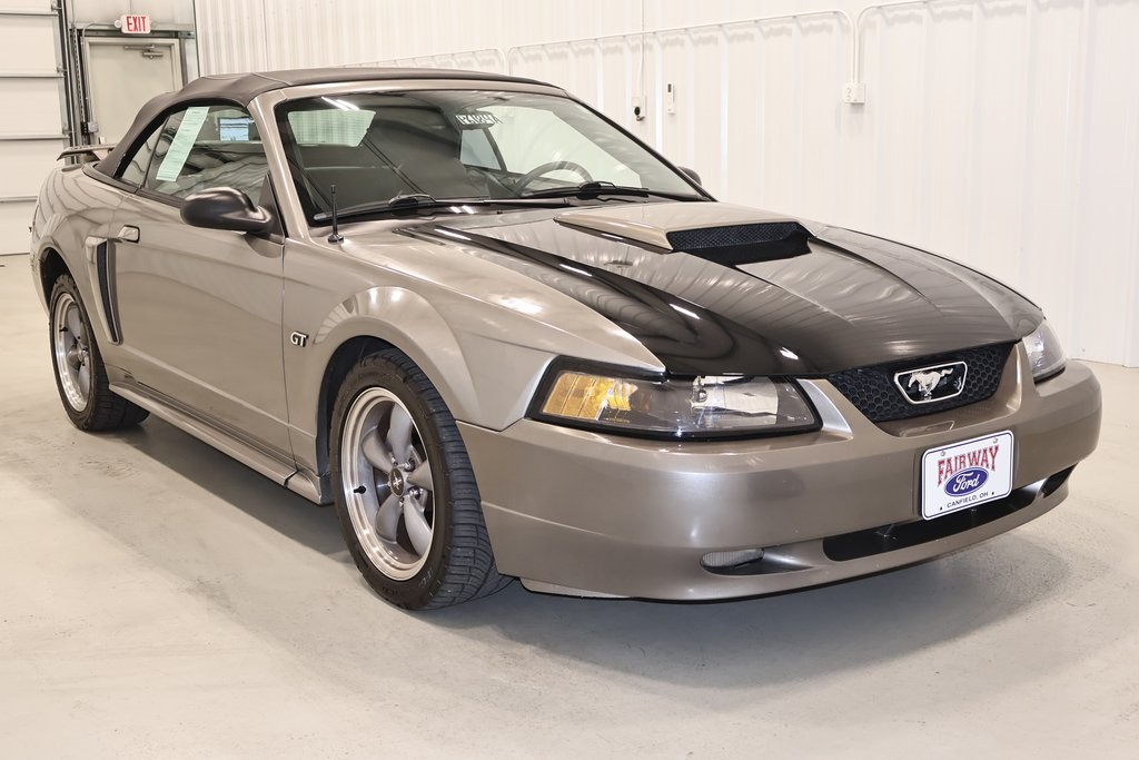 2002 Ford Mustang GT photo 2