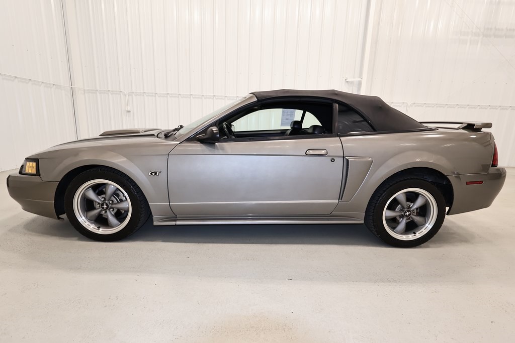 2002 Ford Mustang GT photo 4