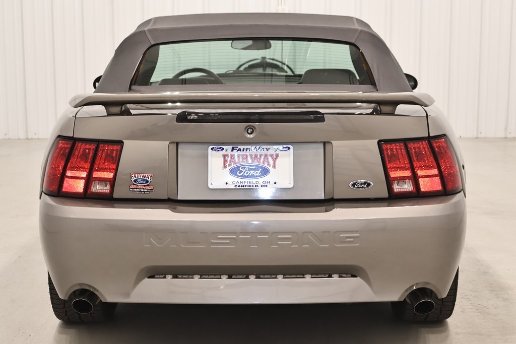 2002 Ford Mustang GT photo 6