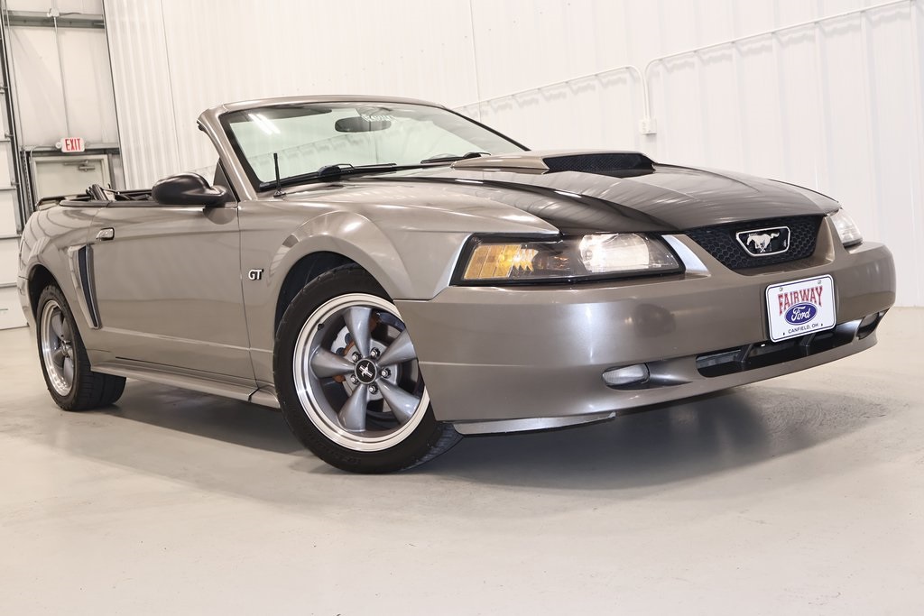 2002 Ford Mustang GT photo 21
