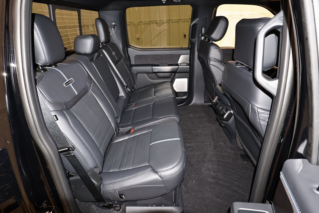 2025 Ford F-150 Platinum photo 14