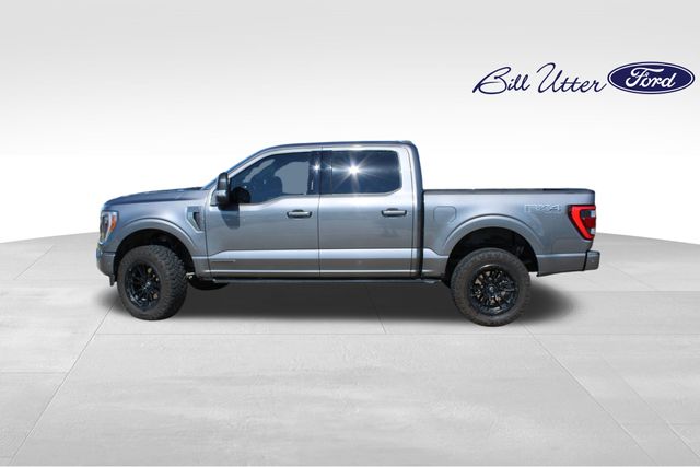 2022 Ford F-150 Platinum photo 8
